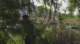 cm801_1530_small.jpg