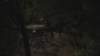cm802_2013_small.jpg