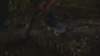 cm802_2081_small.jpg