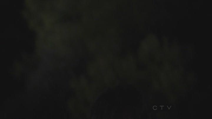 cm802_2138.jpg