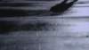 cm803_0026_small.jpg